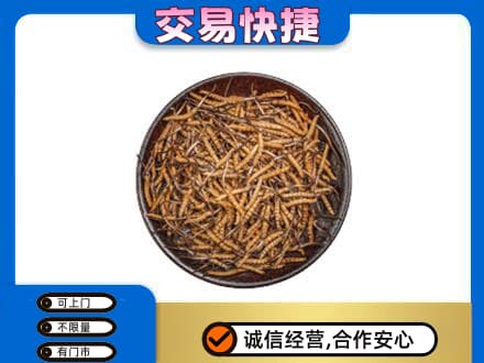 石家庄新华区高价回收散虫草